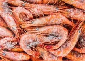 Les crevettes surgelées : pourquoi c'est un bon compromis